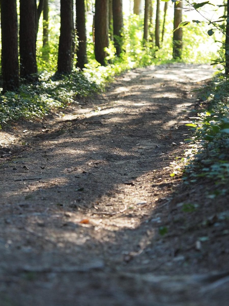 WhatsApp Image 2026-01-28 at 22.34.38